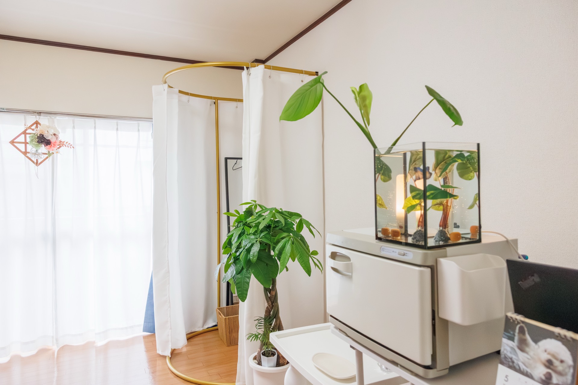観葉植物のある落ち着いたプライベート個室